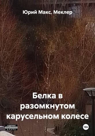 Обложка книги «Белка в разомкнутом карусельном колесе»