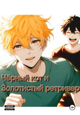 Обложка книги «Чёрный кот и золотистый ретривер»