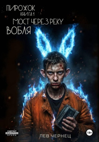 Обложка книги «Пирожок. Книга 1. Мост через реку Вобля»