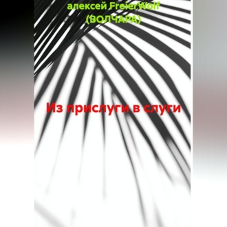 Обложка книги «Из прислуги в слуги»
