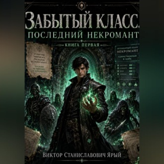 Обложка книги «ЗАБЫТЫЙ КЛАСС. ПОСЛЕДНИЙ НЕКРОМАНТ»