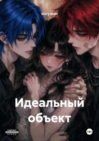 Обложка книги «Идеальный объект»