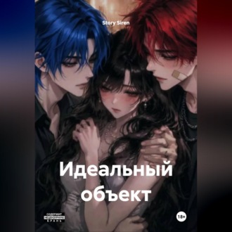 Обложка книги «Идеальный объект»