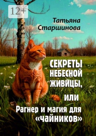 Обложка книги «Секреты Небесной Живицы, или Рагнер и магия для «чайников»»