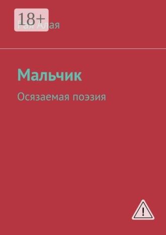 Обложка книги «Мальчик. Осязаемая поэзия»