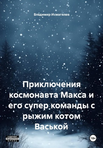 Обложка книги «Приключения космонавта Макса и его супер команды с рыжим котом Васькой»