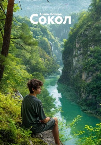 Обложка книги «Сокол»