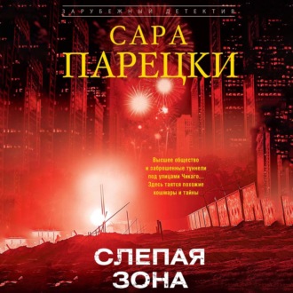 Обложка книги «Слепая зона»
