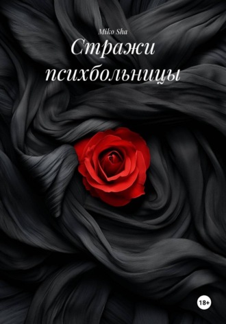 Обложка книги «Стражи психбольницы»