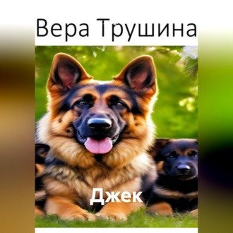 Обложка книги «Джек»