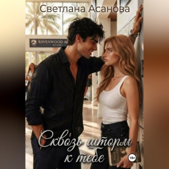 Обложка книги «Сквозь шторм к тебе»
