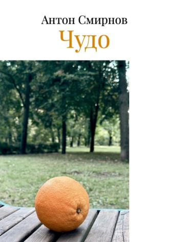 Обложка книги «Чудо»