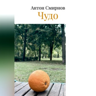 Обложка книги «Чудо»