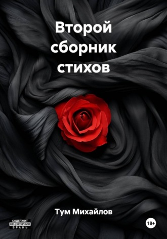 Обложка книги «Второй сборник стихов»