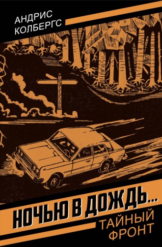 Обложка книги «Ночью в дождь»