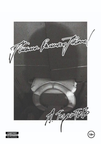 Обложка книги «Письма Вольного Поэта»