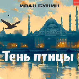 Обложка книги «Тень птицы»