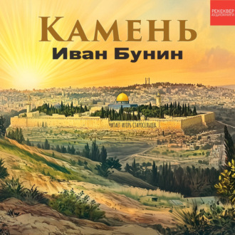Обложка книги «Камень»