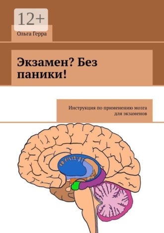 Обложка книги «Экзамен? Без паники! Инструкция по применению мозга для экзаменов»