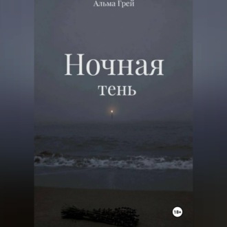Обложка книги «Ночная тень»