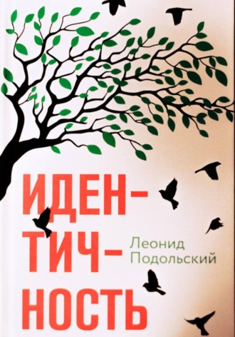 Обложка книги «Идентичность»