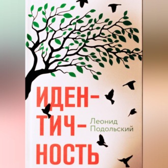 Обложка книги «Идентичность»