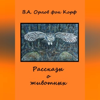 Обложка книги «Рассказы о животных»