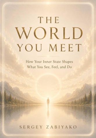 Обложка книги «THE WORLD YOU MEET. How Your Inner State Shapes What You See, Feel, and Do»