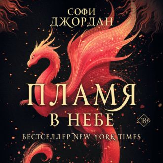 Обложка книги «Пламя в небе»