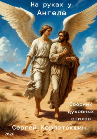 Обложка книги «На руках у Ангела»