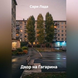 Обложка книги «Двор на Гагарина»