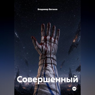 Обложка книги «Совершенный»