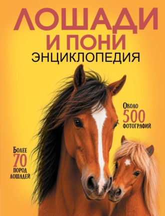 Обложка книги «Самая лучшая иллюстрированная энциклопедия. Лошади и пони»