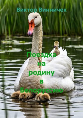 Обложка книги «Поездка на родину в Белоруссию»