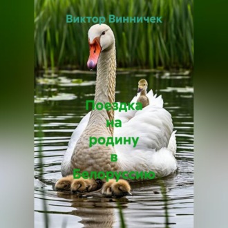 Обложка книги «Поездка на родину в Белоруссию»