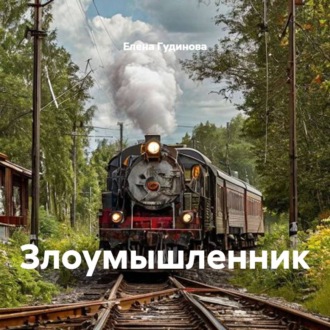 Обложка книги «Злоумышленник»