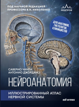Обложка книги «Нейроанатомия. Иллюстрированный атлас нервной системы»