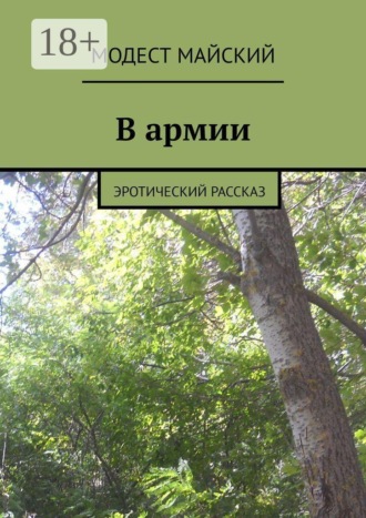 Обложка книги «В армии. Эротический рассказ»