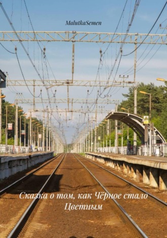 Обложка книги «Сказка о том, как Чёрное стало Цветным»