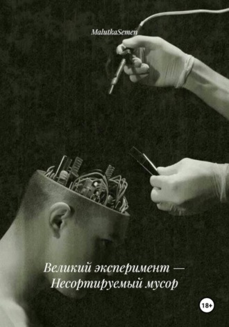 Обложка книги «Великий эксперимент — Несортируемый мусор»
