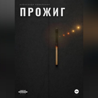 Обложка книги «Прожиг»