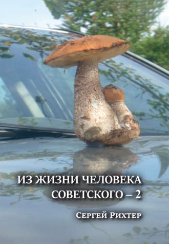 Обложка книги «Из жизни человека советского 2»