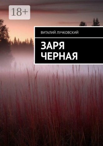 Обложка книги «Заря черная»