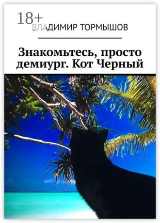 Обложка книги «Знакомьтесь, просто демиург. Кот Черный»