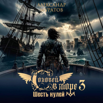 Обложка книги «Соловей в море 3. Шесть нулей»