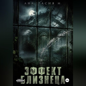Обложка книги «Эффект близнеца»