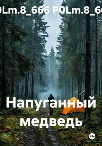 Обложка книги «Напуганный медведь»
