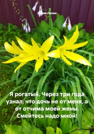 Обложка книги «Я рогатый. Через три года узнал, что дочь не от меня, а от отчима моей жены. Смейтесь надо мной!»