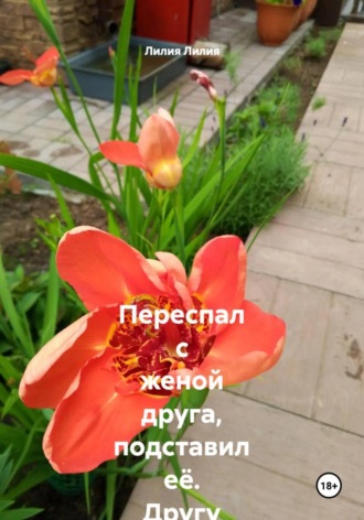 Обложка книги «Переспал с женой друга, подставил её. Другу дочку подсунул без её ведома. Зависть одолевала.»
