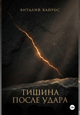 Обложка книги «ТИШИНА ПОСЛЕ УДАРА. Психологическая проза на грани притчи.»